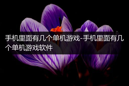 手机里面有几个单机游戏-手机里面有几个单机游戏软件