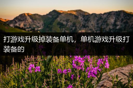 打游戏升级掉装备单机，单机游戏升级打装备的
