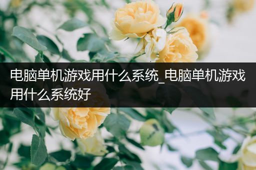 电脑单机游戏用什么系统_电脑单机游戏用什么系统好