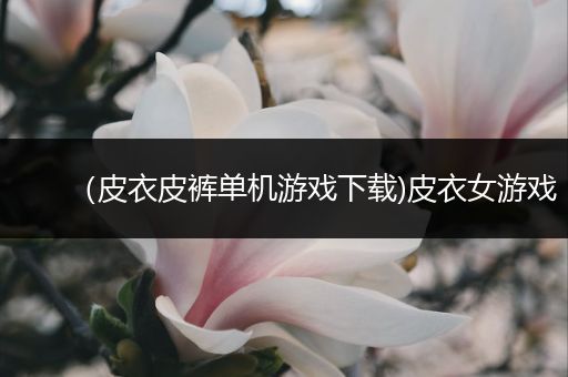 （皮衣皮裤单机游戏下载)皮衣女游戏