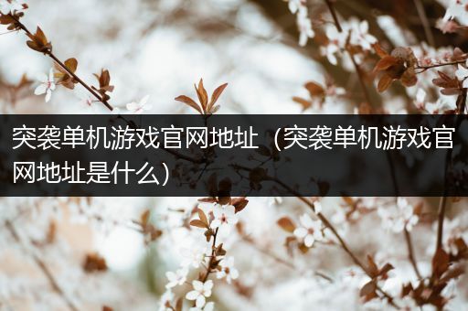 突袭单机游戏官网地址（突袭单机游戏官网地址是什么）
