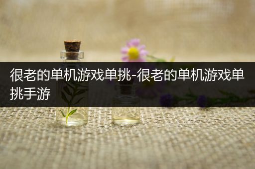 很老的单机游戏单挑-很老的单机游戏单挑手游