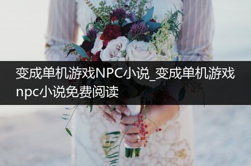 变成单机游戏NPC小说_变成单机游戏npc小说免费阅读