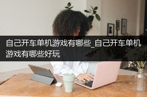自己开车单机游戏有哪些_自己开车单机游戏有哪些好玩