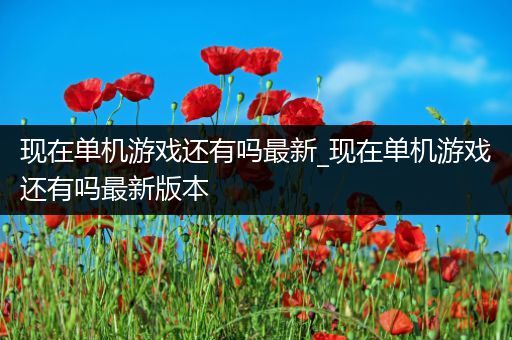 现在单机游戏还有吗最新_现在单机游戏还有吗最新版本