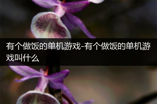 有个做饭的单机游戏-有个做饭的单机游戏叫什么