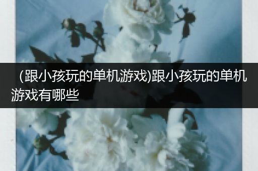 （跟小孩玩的单机游戏)跟小孩玩的单机游戏有哪些