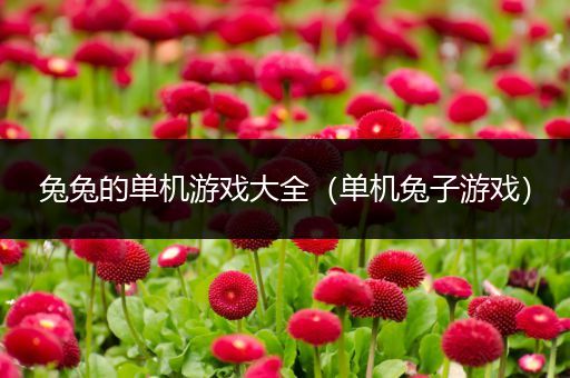 兔兔的单机游戏大全（单机兔子游戏）