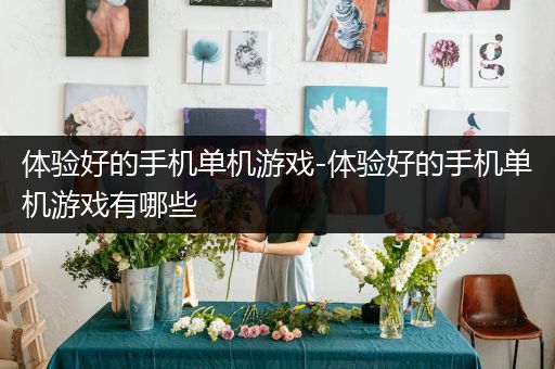 体验好的手机单机游戏-体验好的手机单机游戏有哪些