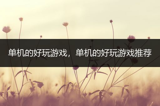 单机的好玩游戏，单机的好玩游戏推荐