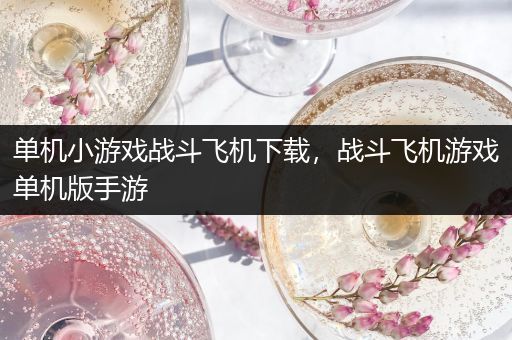 单机小游戏战斗飞机下载，战斗飞机游戏单机版手游
