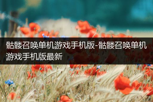 骷髅召唤单机游戏手机版-骷髅召唤单机游戏手机版最新