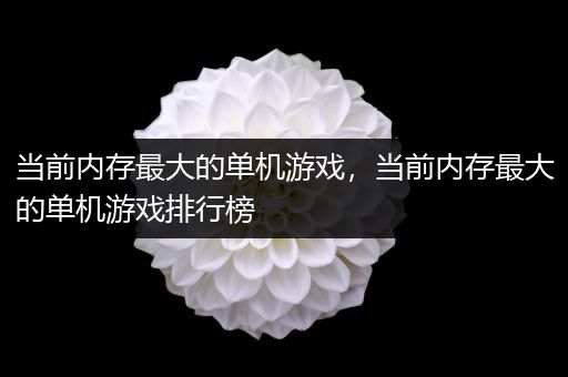 当前内存最大的单机游戏，当前内存最大的单机游戏排行榜