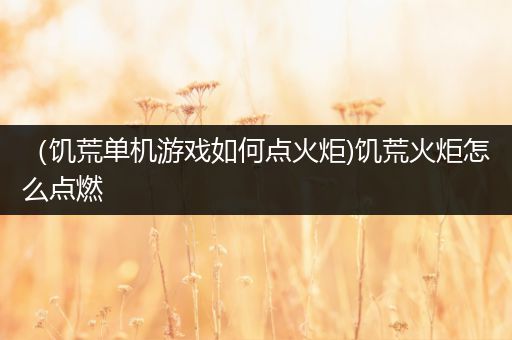 （饥荒单机游戏如何点火炬)饥荒火炬怎么点燃
