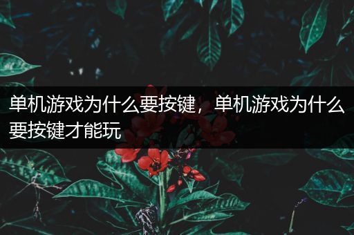 单机游戏为什么要按键，单机游戏为什么要按键才能玩