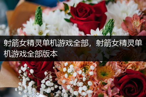 射箭女精灵单机游戏全部，射箭女精灵单机游戏全部版本