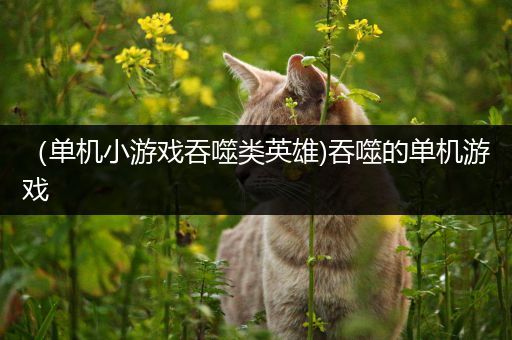 （单机小游戏吞噬类英雄)吞噬的单机游戏