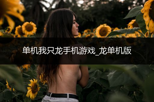 单机我只龙手机游戏_龙单机版