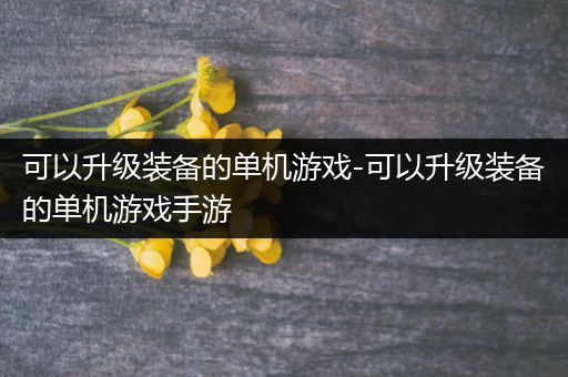 可以升级装备的单机游戏-可以升级装备的单机游戏手游
