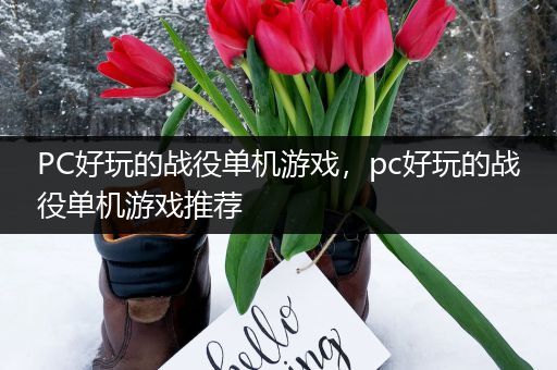 PC好玩的战役单机游戏，pc好玩的战役单机游戏推荐