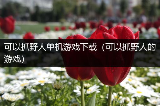 可以抓野人单机游戏下载（可以抓野人的游戏）