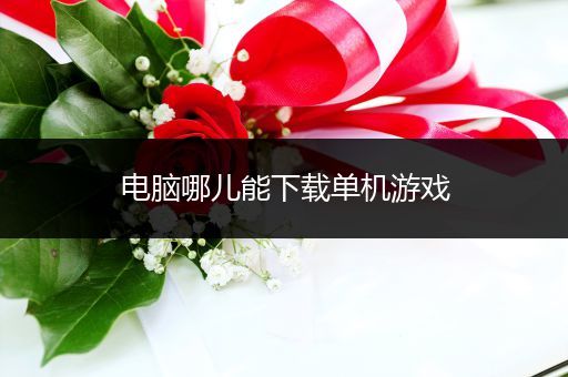 电脑哪儿能下载单机游戏