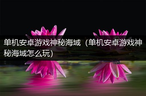 单机安卓游戏神秘海域（单机安卓游戏神秘海域怎么玩）