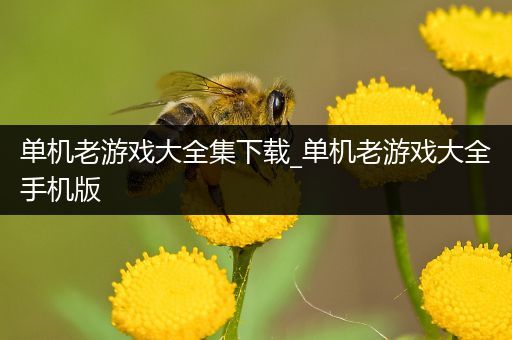 单机老游戏大全集下载_单机老游戏大全手机版