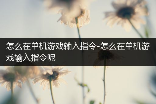 怎么在单机游戏输入指令-怎么在单机游戏输入指令呢