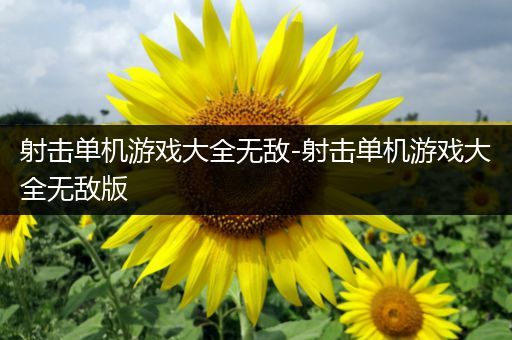 射击单机游戏大全无敌-射击单机游戏大全无敌版