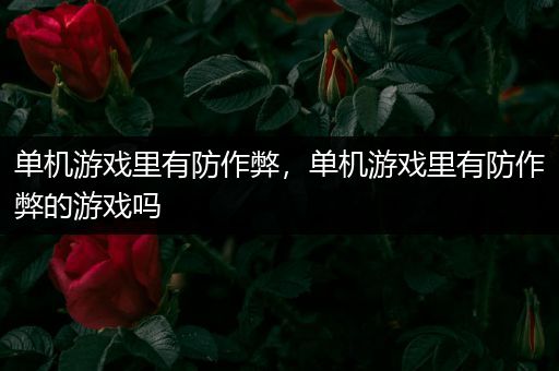 单机游戏里有防作弊，单机游戏里有防作弊的游戏吗