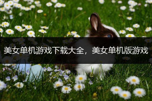 美女单机游戏下载大全，美女单机版游戏
