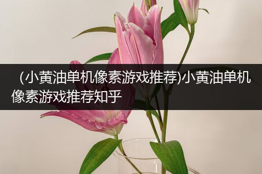 （小黄油单机像素游戏推荐)小黄油单机像素游戏推荐知乎