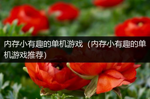 内存小有趣的单机游戏（内存小有趣的单机游戏推荐）