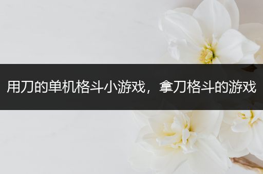 用刀的单机格斗小游戏，拿刀格斗的游戏