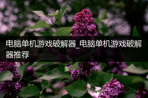 电脑单机游戏破解器_电脑单机游戏破解器推荐