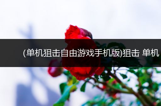 （单机狙击自由游戏手机版)狙击 单机