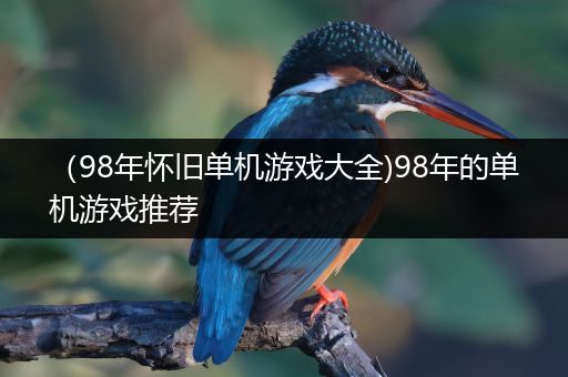 （98年怀旧单机游戏大全)98年的单机游戏推荐