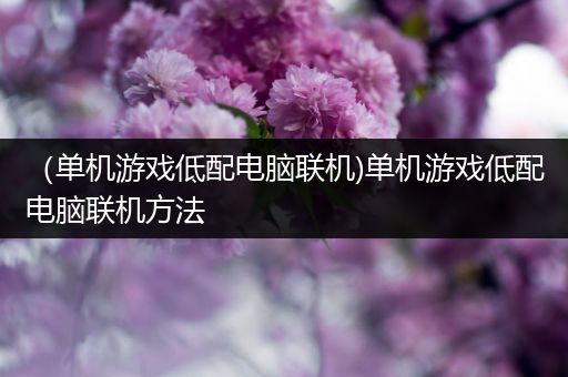 （单机游戏低配电脑联机)单机游戏低配电脑联机方法