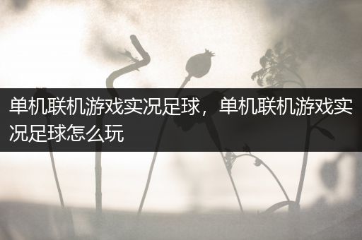 单机联机游戏实况足球，单机联机游戏实况足球怎么玩
