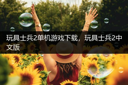玩具士兵2单机游戏下载，玩具士兵2中文版