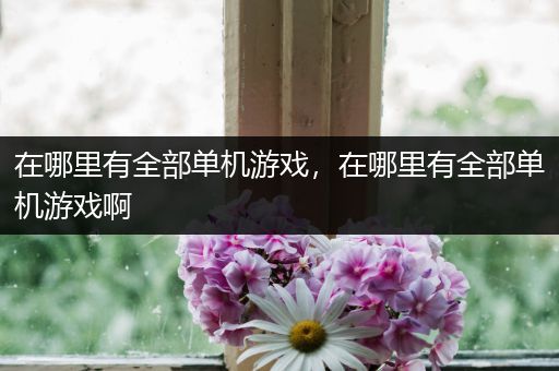 在哪里有全部单机游戏，在哪里有全部单机游戏啊