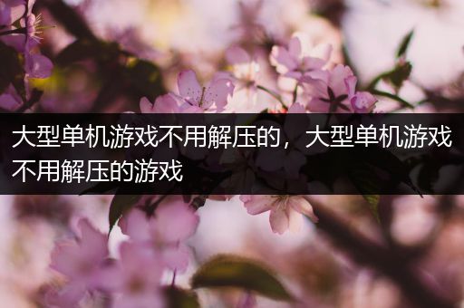 大型单机游戏不用解压的，大型单机游戏不用解压的游戏