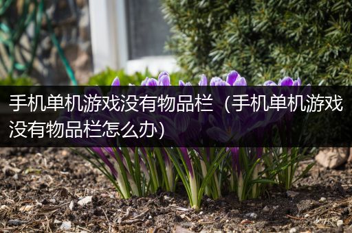 手机单机游戏没有物品栏（手机单机游戏没有物品栏怎么办）