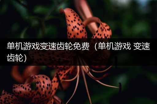 单机游戏变速齿轮免费（单机游戏 变速齿轮）