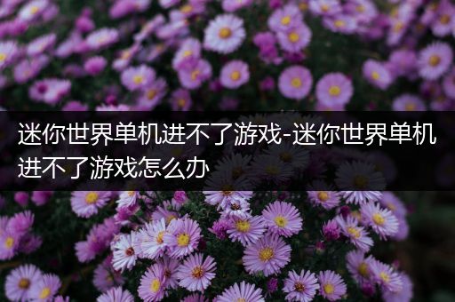 迷你世界单机进不了游戏-迷你世界单机进不了游戏怎么办