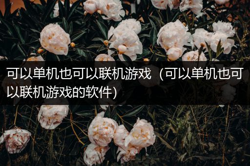 可以单机也可以联机游戏（可以单机也可以联机游戏的软件）