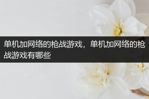 单机加网络的枪战游戏，单机加网络的枪战游戏有哪些