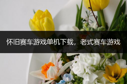 怀旧赛车游戏单机下载，老式赛车游戏