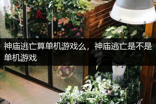 神庙逃亡算单机游戏么，神庙逃亡是不是单机游戏